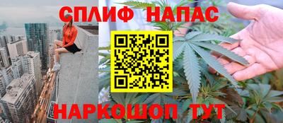 гашик Бузулук