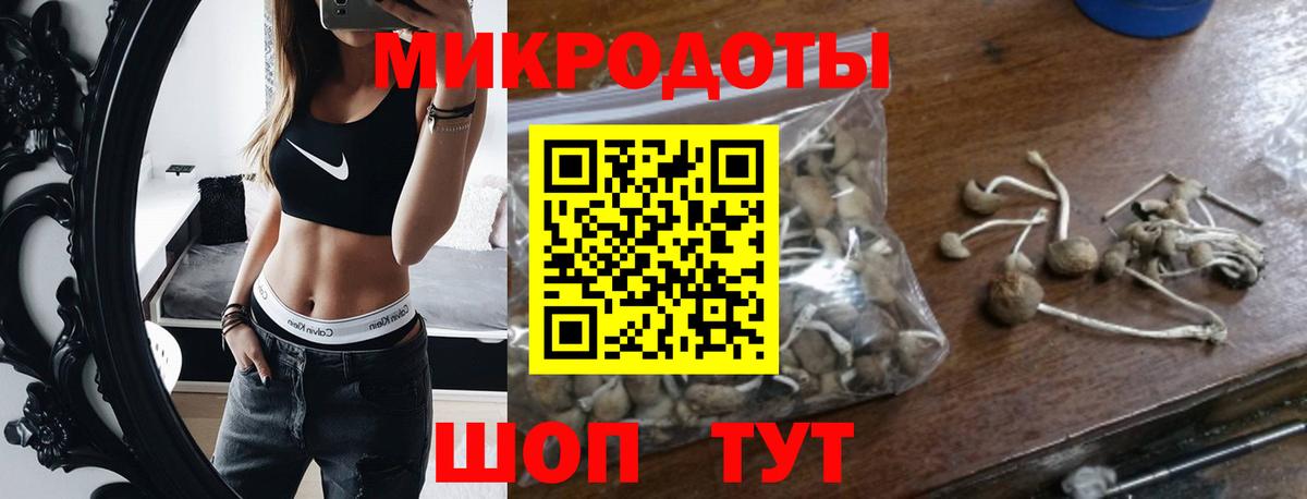 Псилоцибиновые грибы мухоморы Мирный