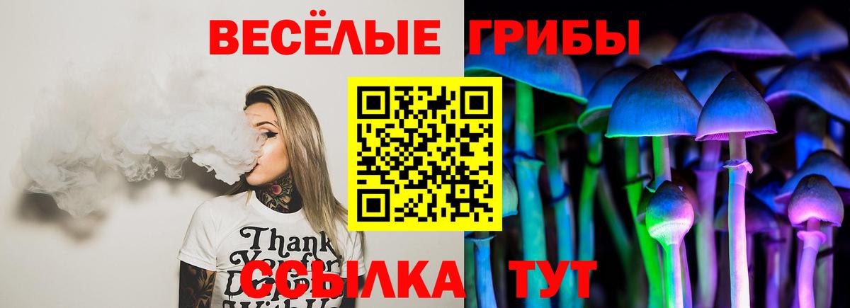 Псилоцибиновые грибы прущие грибы  Вход с VPN  Мирный 